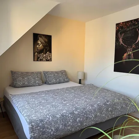Lounge Mit Privatem Stellplatz Fuer Bis Zu 4 Personen - Stadtnah Koblencja