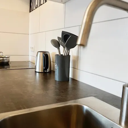 Lounge Mit Privatem Stellplatz Fuer Bis Zu 4 Personen - Stadtnah شقة كوبلنس